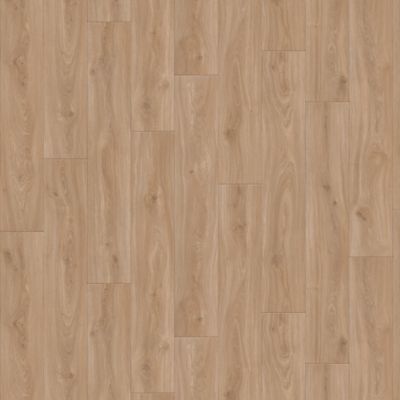 Candor Highland (IVC)