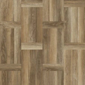 Airstep Evolution Congoluem