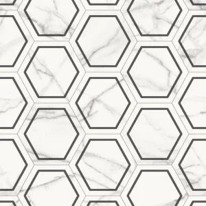 Airstep Evolution Congoluem