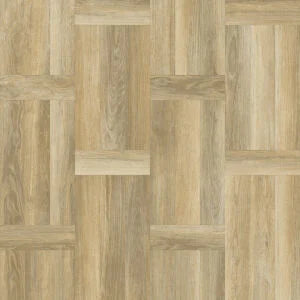 Airstep Evolution Congoluem