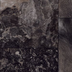 Airstep Evolution Congoluem