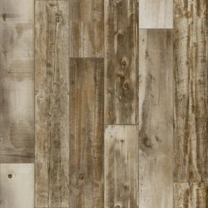 Airstep Evolution Congoluem