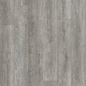 Airstep Evolution Congoluem