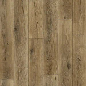 Airstep Evolution Congoluem