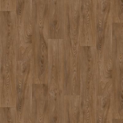 Candor Highland (IVC)