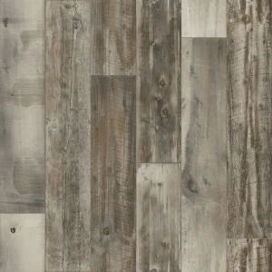 Airstep Evolution Congoluem