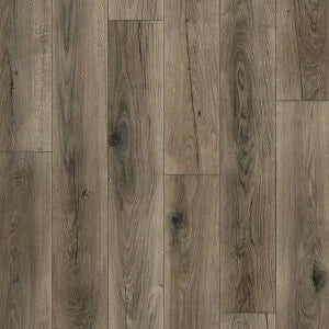 Airstep Evolution Congoluem